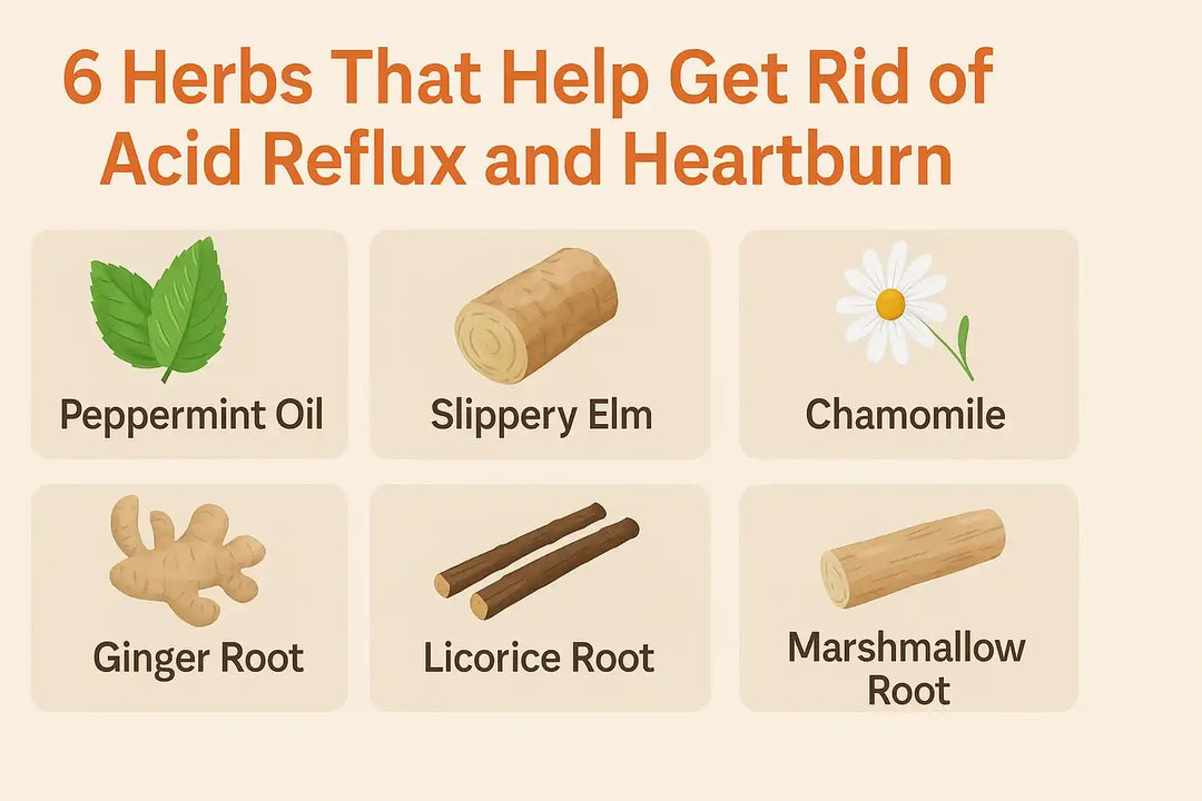 6 Herbs That Help Get Rid of Acid Reflux and Heartburn