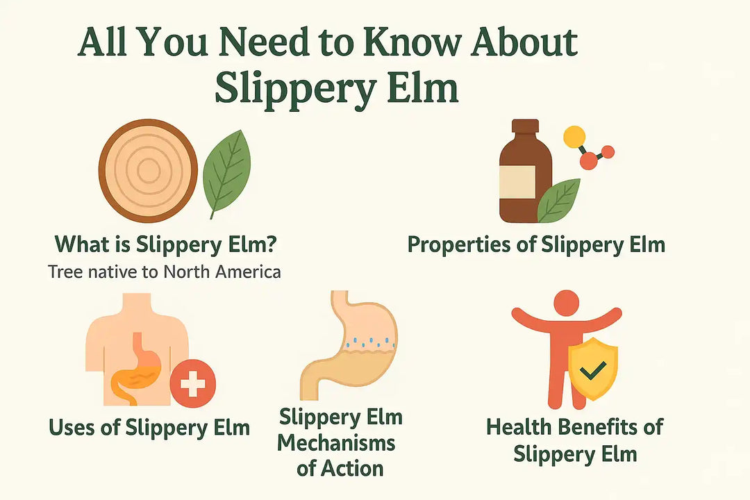 All you need to know about Slippery Elm