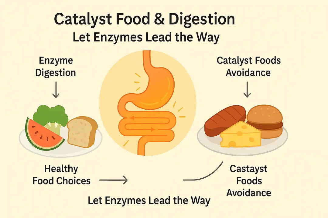 Catalyst Foods Explained
