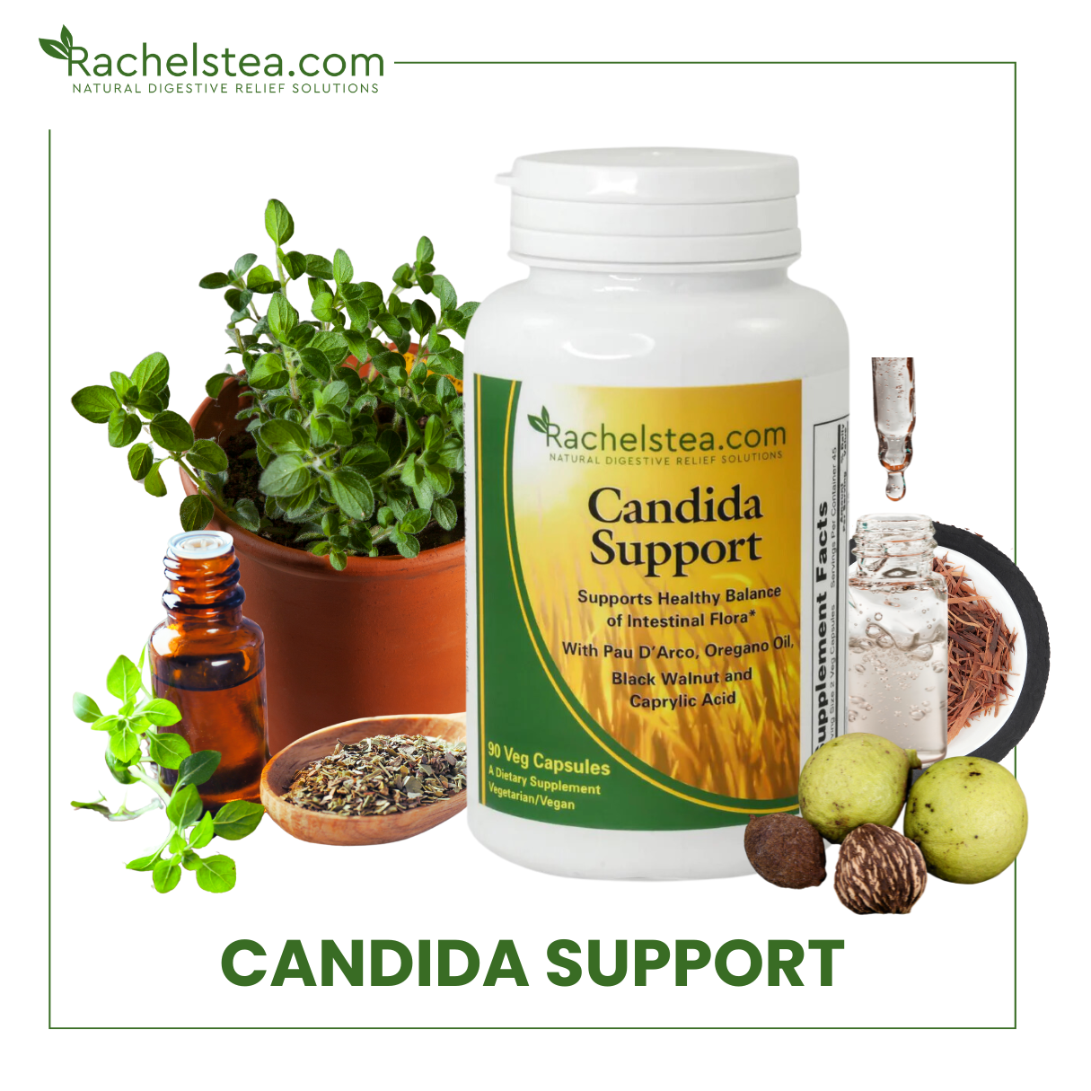 candida cleanse supplements